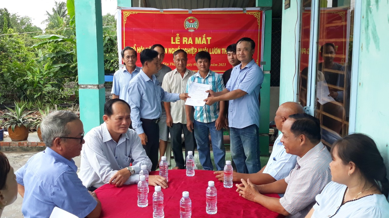 Sóc Trăng: Nông dân một phường ở TX Ngã Năm nuôi lươn, tham gia Tổ hội nông dân nghề nghiệp - Ảnh 2. Sóc Trăng: Nông dân một phường ở TX Ngã Năm nuôi lươn, tham gia Tổ hội nông dân nghề nghiệp - Ảnh 2.